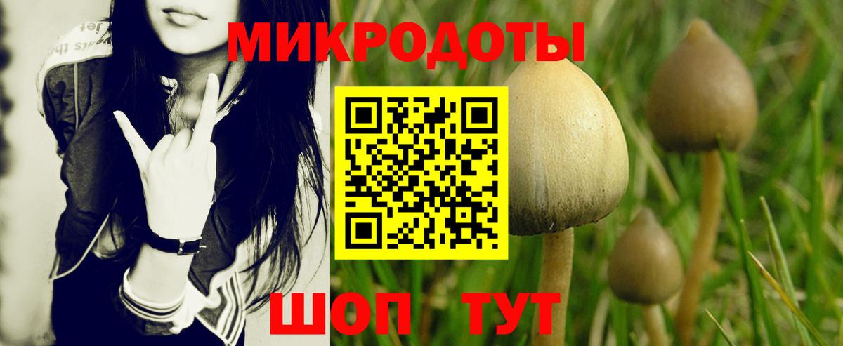 Псилоцибиновые грибы Magic Shrooms  Галлюциногенные грибы мухоморы  Рыбинск  Вход с VPN 